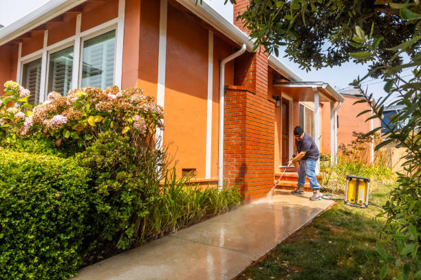 Why Choose Our Certified Pressure Washing Experts for Your Project Needs in Williamston, NC?