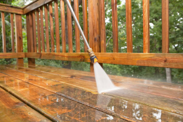 Best Affordable Pressure Washing  in Williamston, NC
