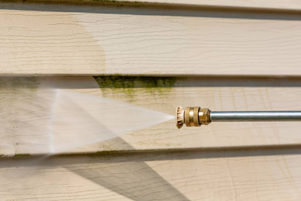 Professional Pressure Washing in Williamston, NC